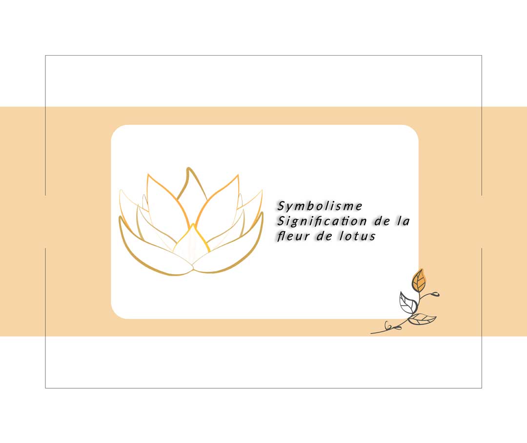Symbolisme Et Signification De La Fleur De Lotus